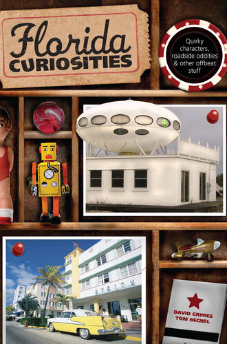 ﻿کنجکاوی های فلوریدا