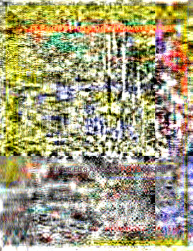 ﻿سبزیجات باورنکردنی از ظروف خود آبیاری: با استفاده از سیستم گلدان های شگفت انگیز Ed's