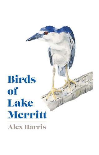 ﻿پرندگان دریاچه مریت