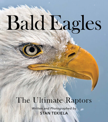 ﻿Eagles Bald: The Ultimate Raptors (حیات وحش مورد علاقه)