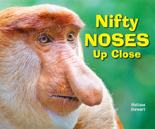 ﻿Nifty Noses از نزدیک