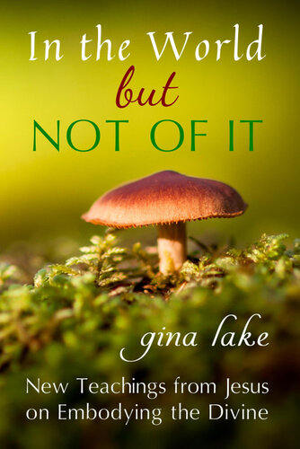 ﻿در جهان اما نه از آن: آموزه های جدید از عیسی در مورد تجسم الهی