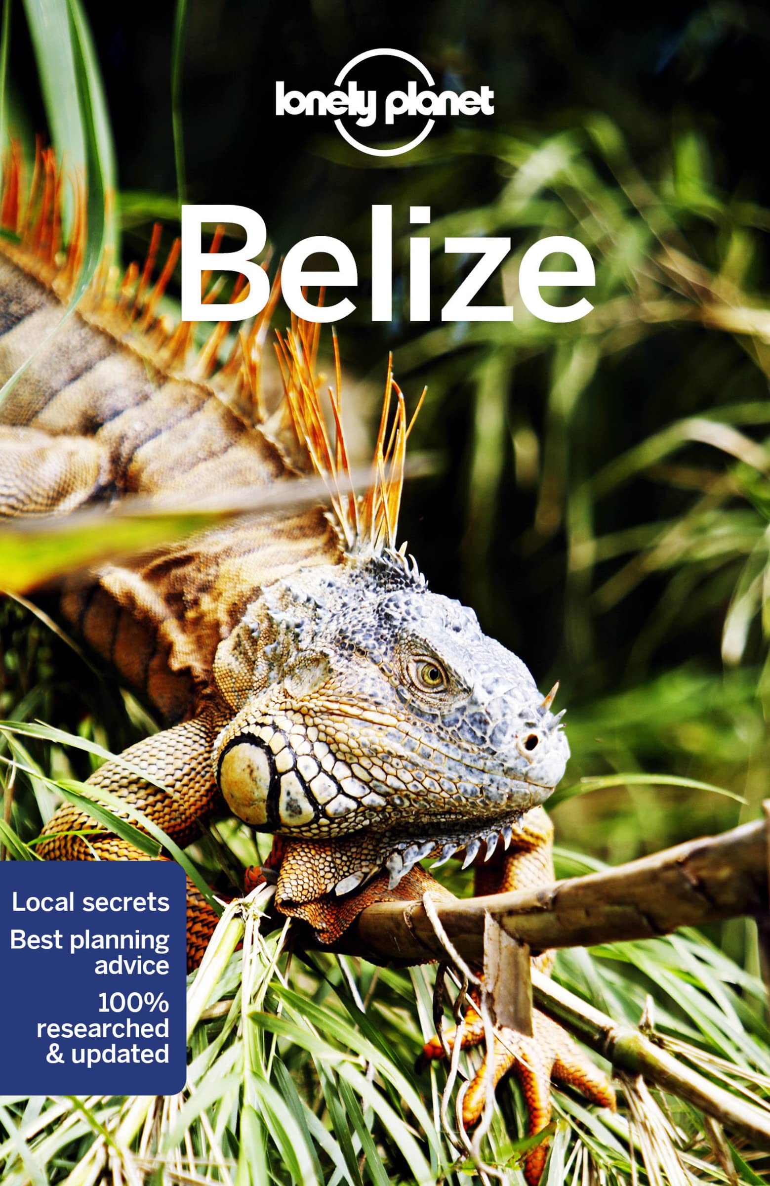 ﻿Lonely Planet Belize 8 (راهنمای سفر)