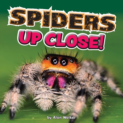 ﻿عنکبوت از نزدیک