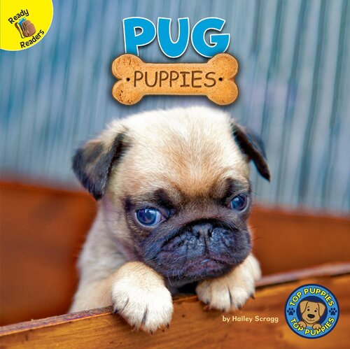 ﻿توله سگ پاگ