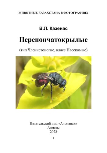 ﻿Hymenoptera: زنبورها، زنبورها، مورچه ها، مگس اره، سواران و غیره (نوع بندپایان، کلاس حشرات).