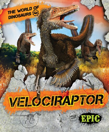 ﻿Velociraptor