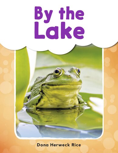 ﻿کنار دریاچه