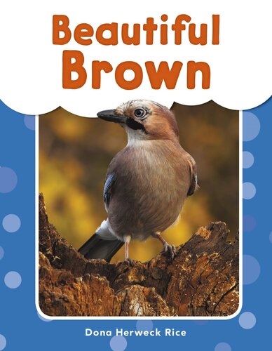 ﻿قهوه ای زیبا