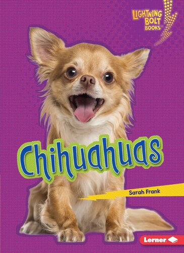 ﻿chihuahuas