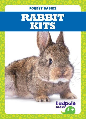 ﻿کیت خرگوش