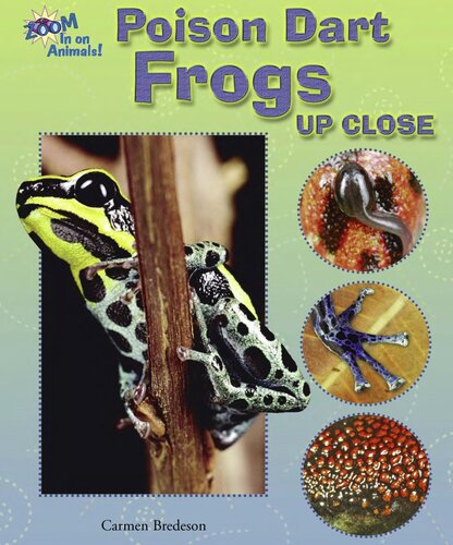 ﻿قورباغه دارت سمی از نزدیک