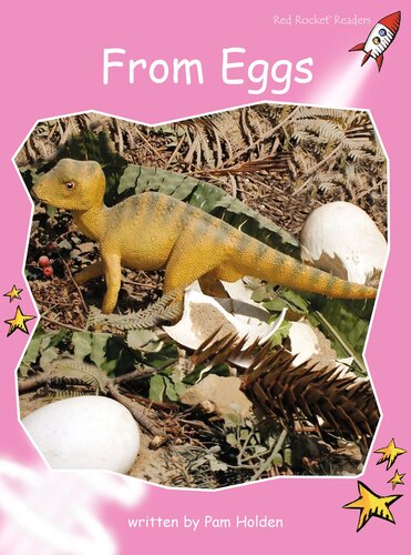 ﻿از تخم مرغ