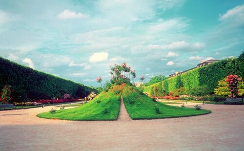 ﻿تعادل بین هنر و طبیعت