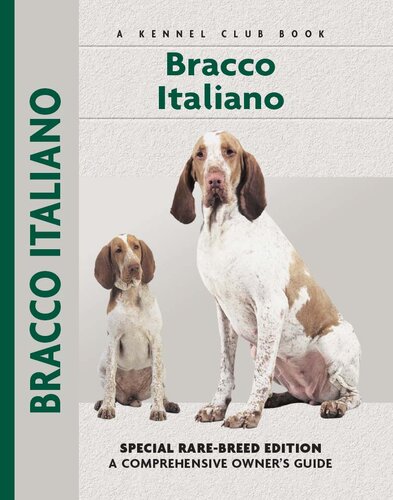﻿Bracco Italiano: Special Rare-breed Edition