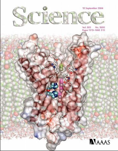 ﻿علم (جلد 305، شماره 5690، سپتامبر 2004)