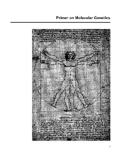 آغازگر در ژنتیک مولکولی