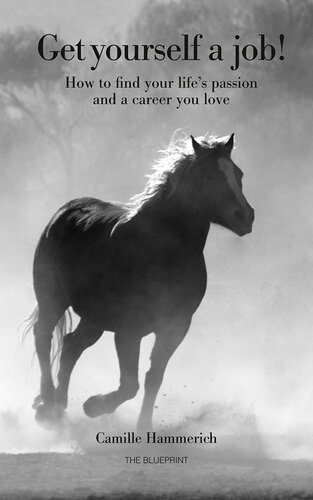 ﻿برای خود شغلی پیدا کنید: چگونه اشتیاق زندگی و شغلی را که دوست دارید پیدا کنید