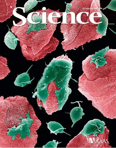 ﻿علم (جلد 315، شماره 5809، 12 ژانویه 2007)