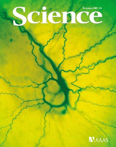 ﻿علم (جلد 315، شماره 5810، 19 ژانویه 2007)