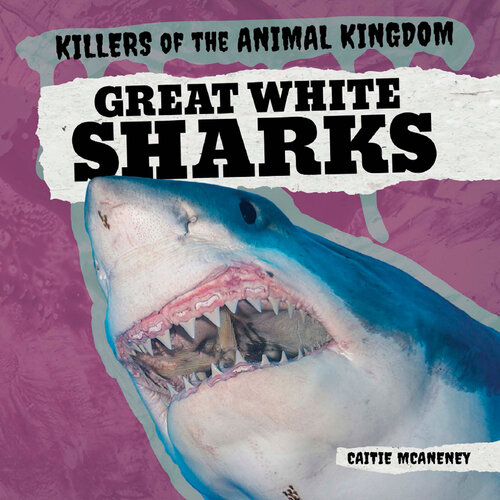 ﻿کوسه های سفید بزرگ