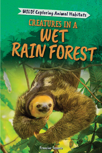 Creatures in a Wet Rain Forest