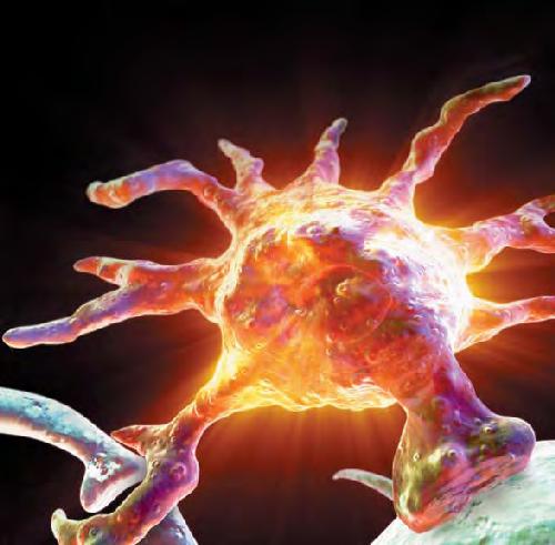 آمریکایی علمی (آوریل 2004)