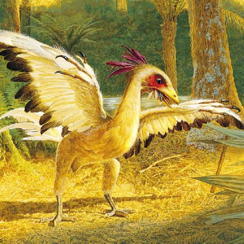 ﻿American american (فوریه 1998)