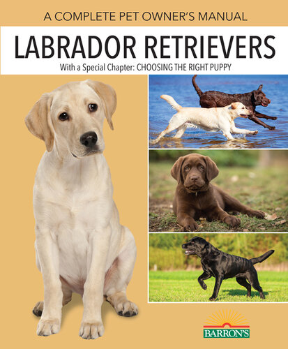 ﻿Retrievers Labrador: کتابچه راهنمای کامل حیوان خانگی