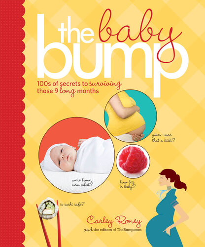 ﻿The Baby Bump: 100 راز برای زنده ماندن در آن 9 ماه طولانی