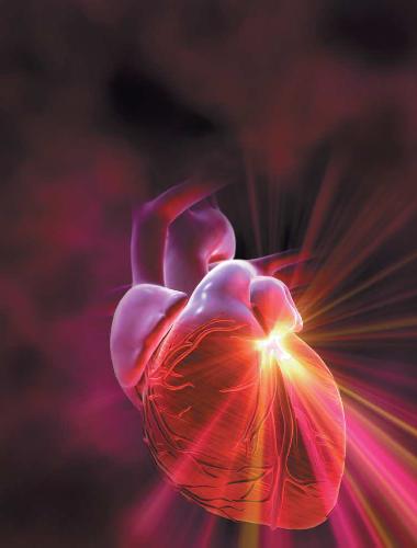 علمی آمریکایی (مه 2002)