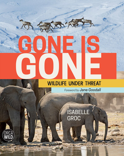 ﻿Gone Is Gone: Wildlife Under Threat