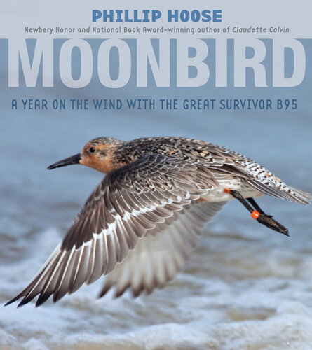 ﻿Moonbird: A Year on the Wind with the Great Survivor B95