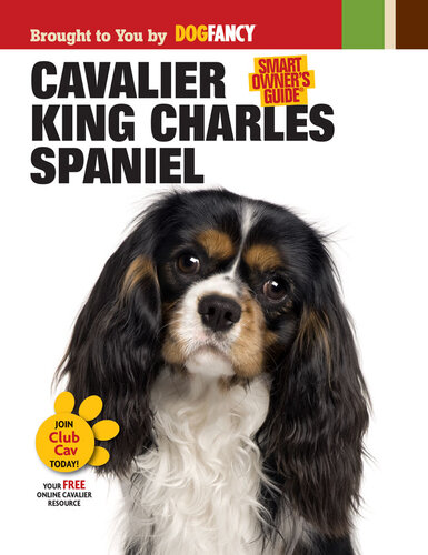 Cavalier King Charles Spaniel