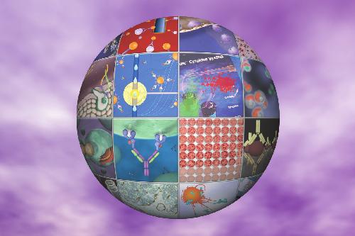 تکنیک های تجزیه و تحلیل عملکرد سیستم ایمنی