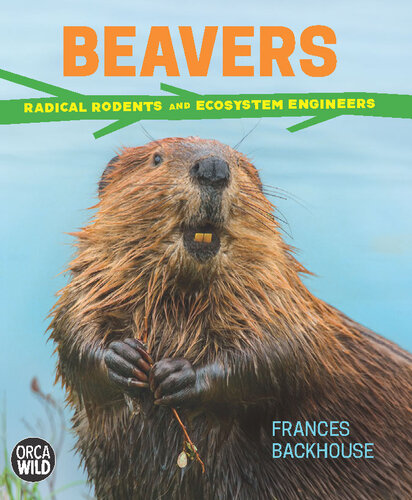 ﻿Beavers: رادیکال جوندگان و مهندسین اکوسیستم