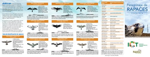 ﻿کاستاریکا پرندگان شکاری زیارتی