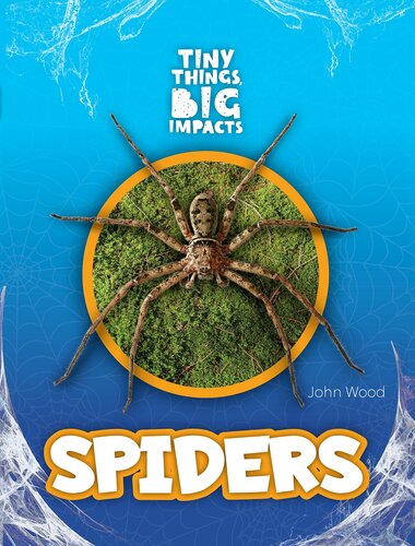 ﻿عنکبوت ها