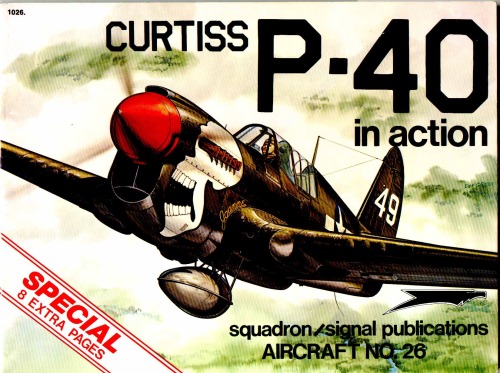 ﻿Curtiss P-40 در عمل