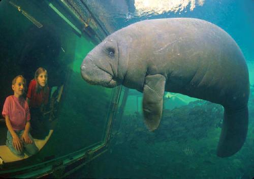 عکاسی در زیر آب (فوریه / مارس 2004)