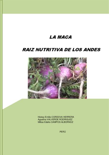 ﻿ماکا (Lepidium meyenii)، ریشه مغذی از آند