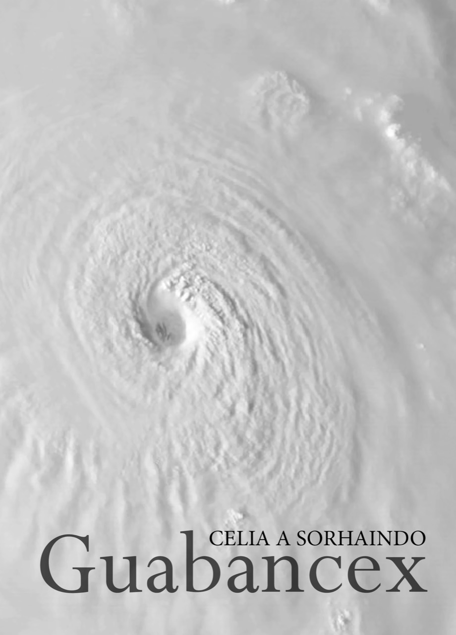 ﻿گوابانسکس