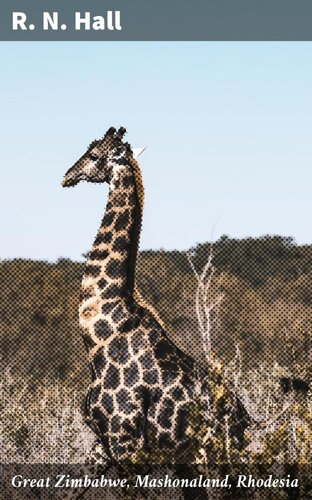 ﻿زیمباوه بزرگ، ماشونالند، رودزیا