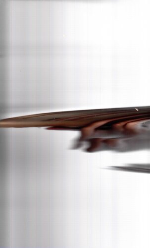 ﻿طب هومیوپاتی بر مبنای تجربی