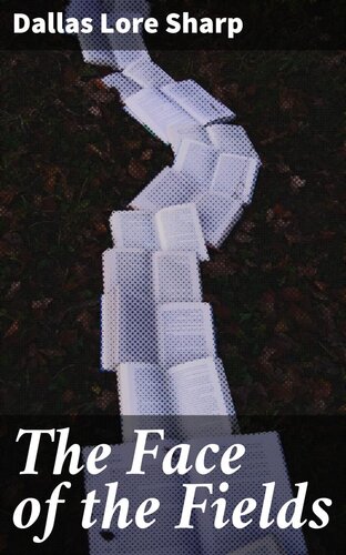 ﻿چهره میدان ها