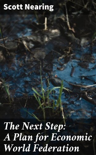﻿گام بعدی: طرحی برای فدراسیون جهانی اقتصادی