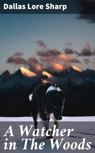 ﻿تماشاچی در جنگل