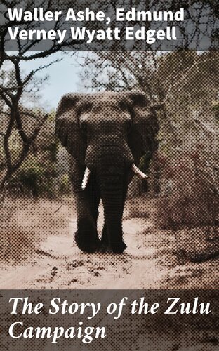 ﻿داستان کمپین زولو