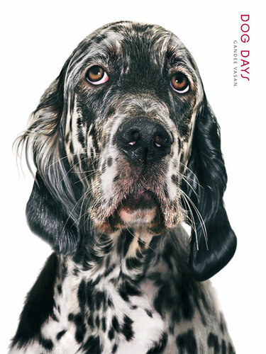 ﻿روزهای سگ