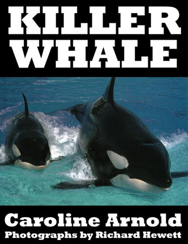 Killer Whale